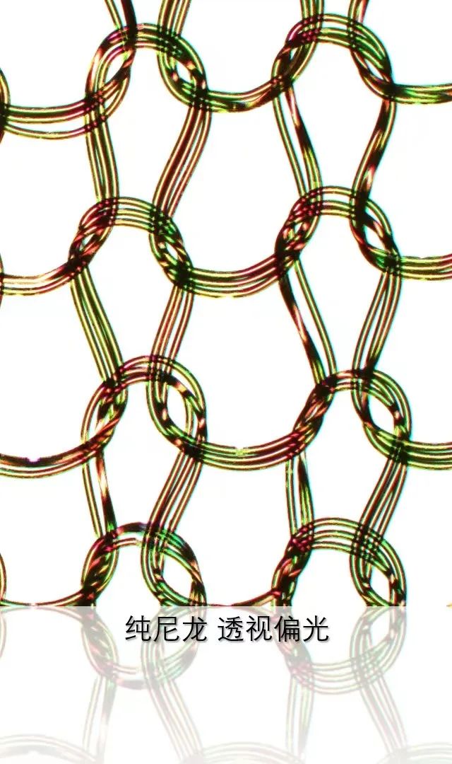 中山蔡司共聚焦显微镜